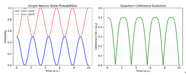 Single-neuron quantum evolution. Top panel: state probabilities P_0 (blue) and P_1 (orange) showing Rabi oscillations. Bottom panel: quantum coherence measure C(t) = |ρ_01| peaking at equipartition. Parameters: ω = 2π × 40 Hz, initial state |0⟩, time range 0–50 ms. 3.12.1 Single-Neuron Quantum Evolution: Superposition and Coherence